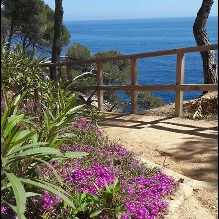 Lejlighed Apartamento Cantallops Palafrugell